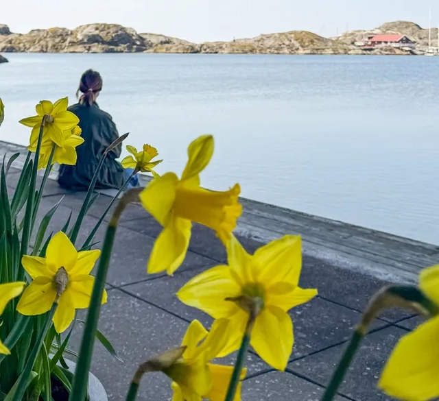 vyer vid nordiska akvarellmuseet i skärhamn