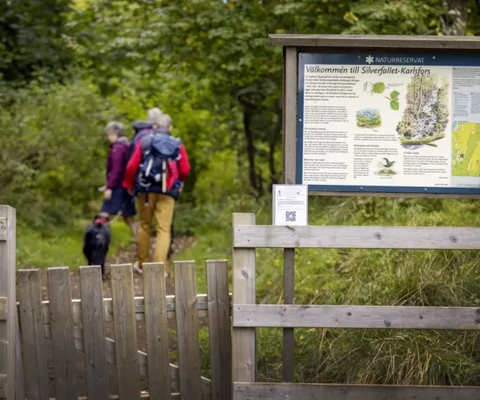 Några människor som går i skogen.