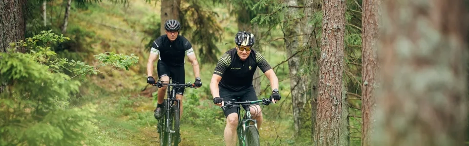 Människor som cyklar i ett naturområde.
