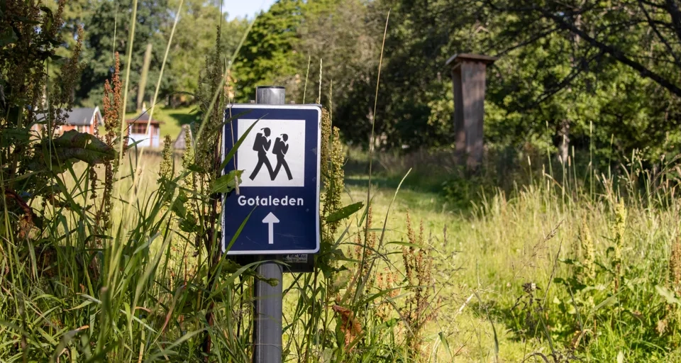 Et blått og hvitt skilt på en stolpe i gresset.