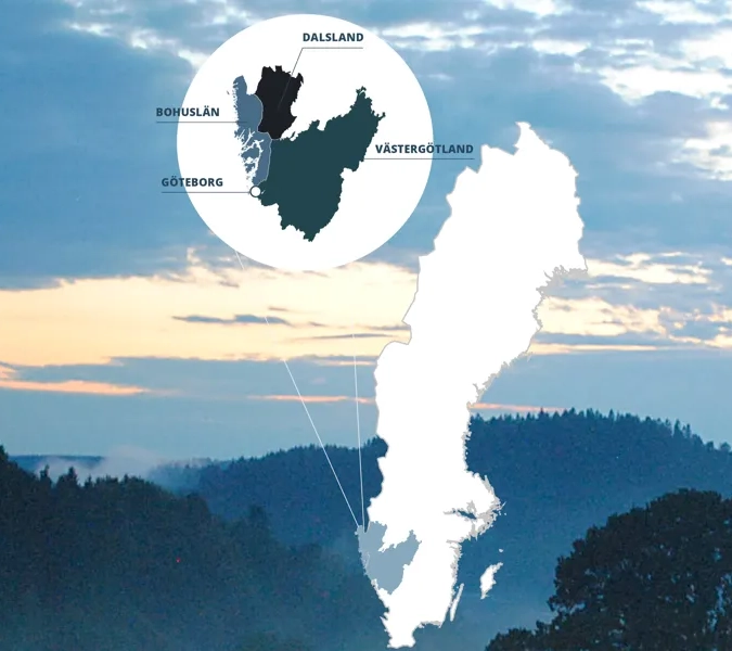 En bild av ett träd mitt på ett fält.