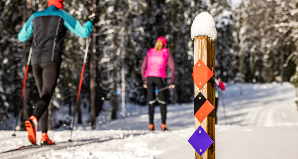 Några personer som åker längdskidor.