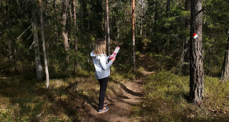 Person som står vid en stig och tittar på HittaUt-kartan.