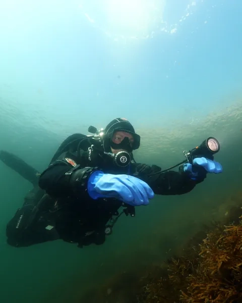 Dykare under vattnet.