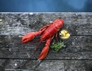 Hummer