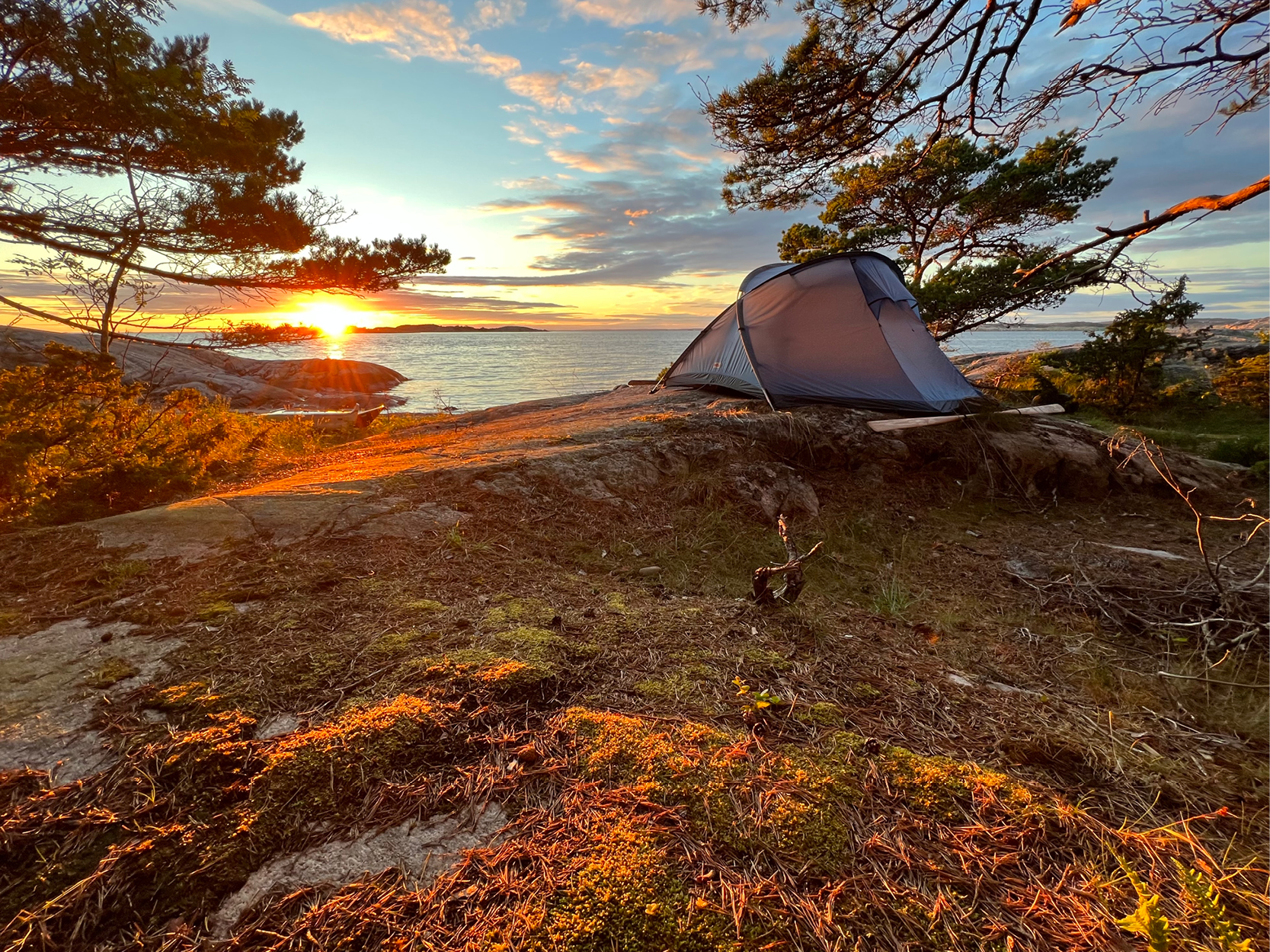 Kursstart vår med Utetid - tema Vandring & Närvaro