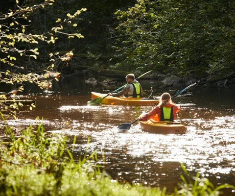 Paddla hos Dalslands Aktiviteter