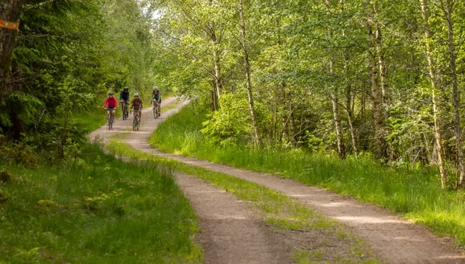 Cykling på natursköna Ljungleden.