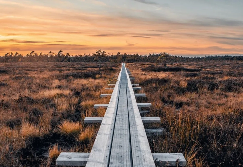 A long wooden bridge in a field at sunset.
