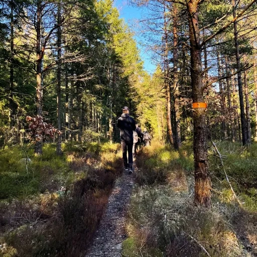 Bild på en man som promenerar i skogen