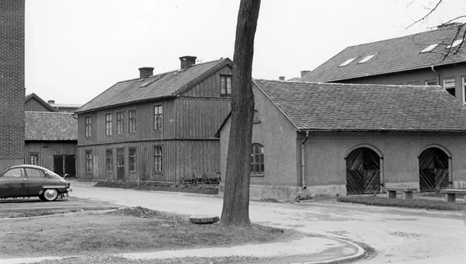 Vid en väg som svänger vänster står ett högt träd. Vägen leder till flera byggnader och en parkerad mörk bil.