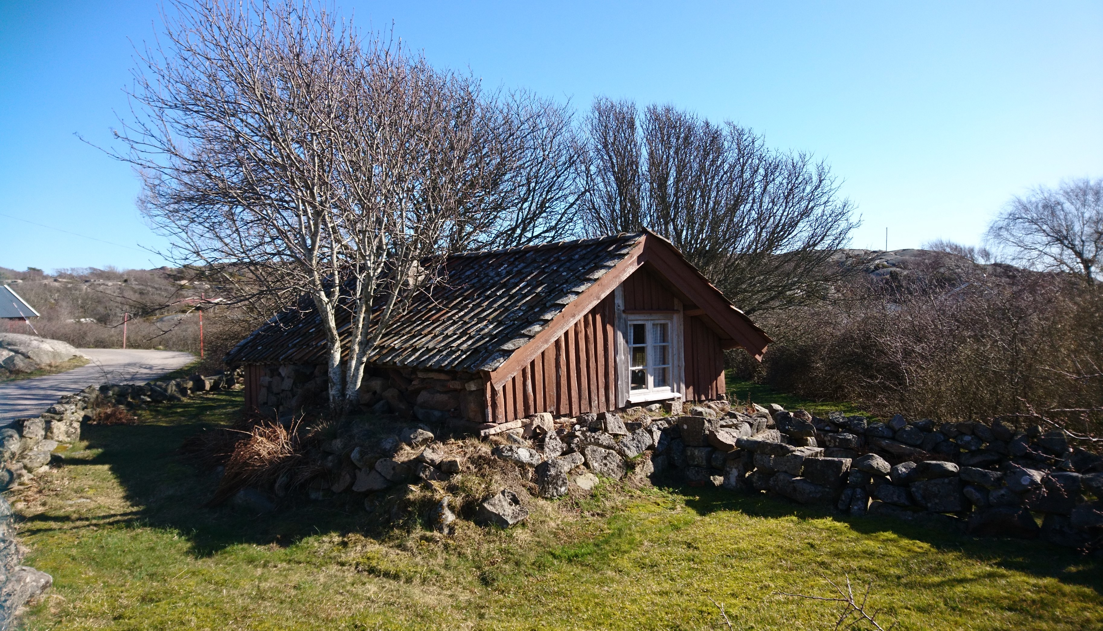 Gotte-Lars dag för barn och unga