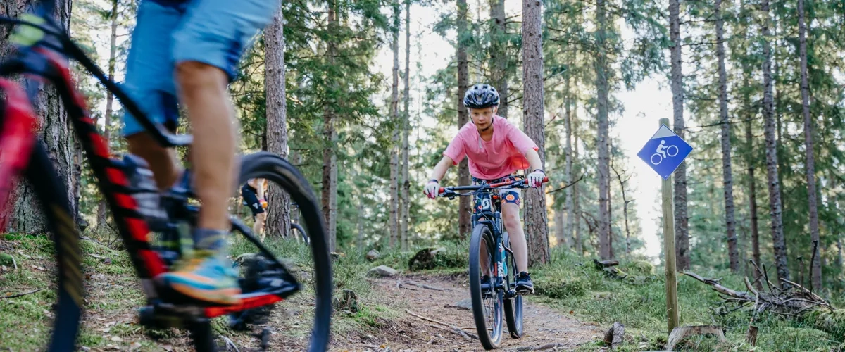 A couple of people riding bikes on a trail.
