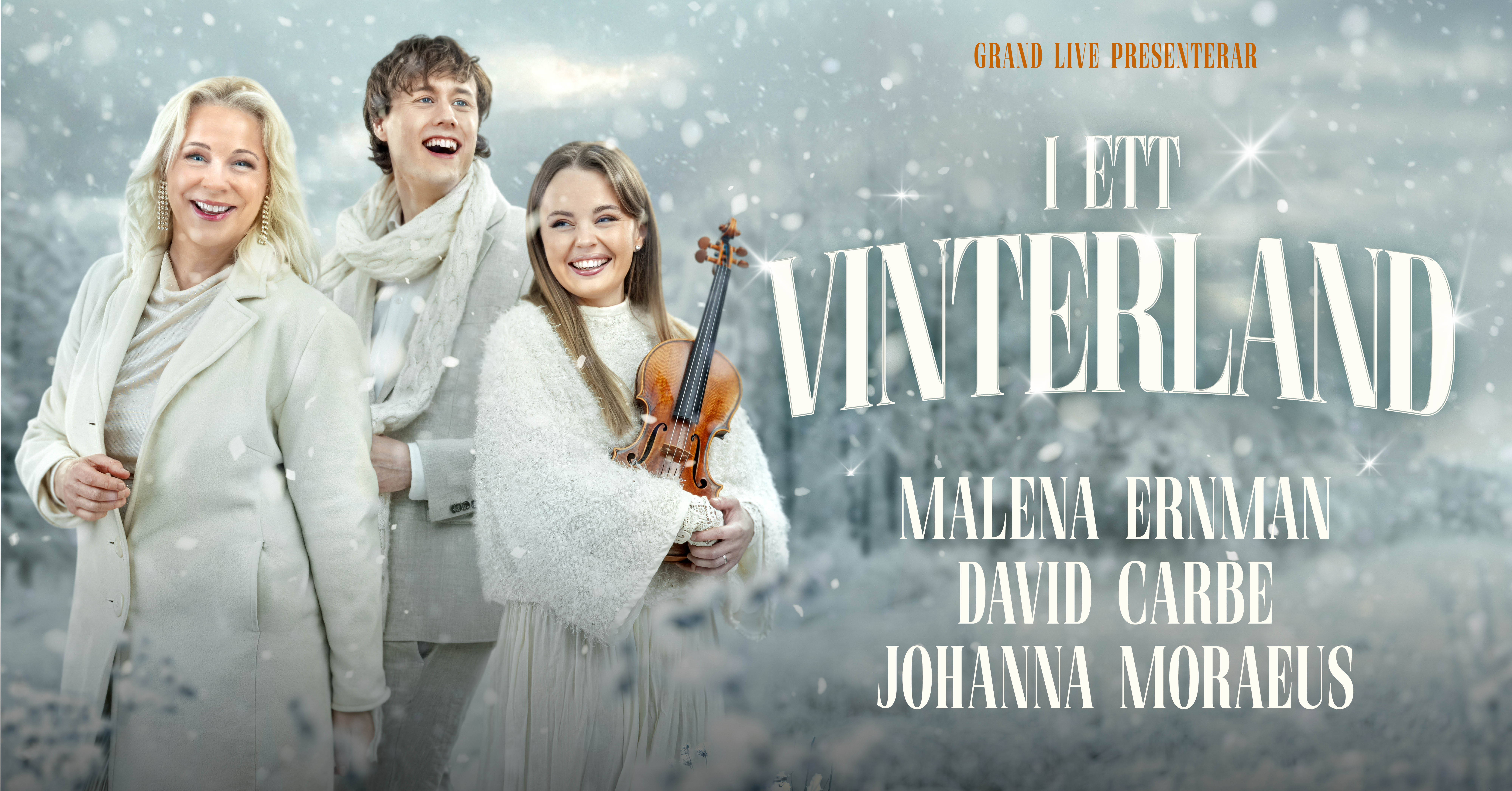 I ett vinterland