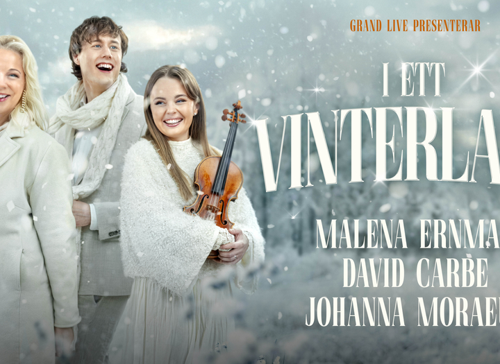 I ett vinterland
