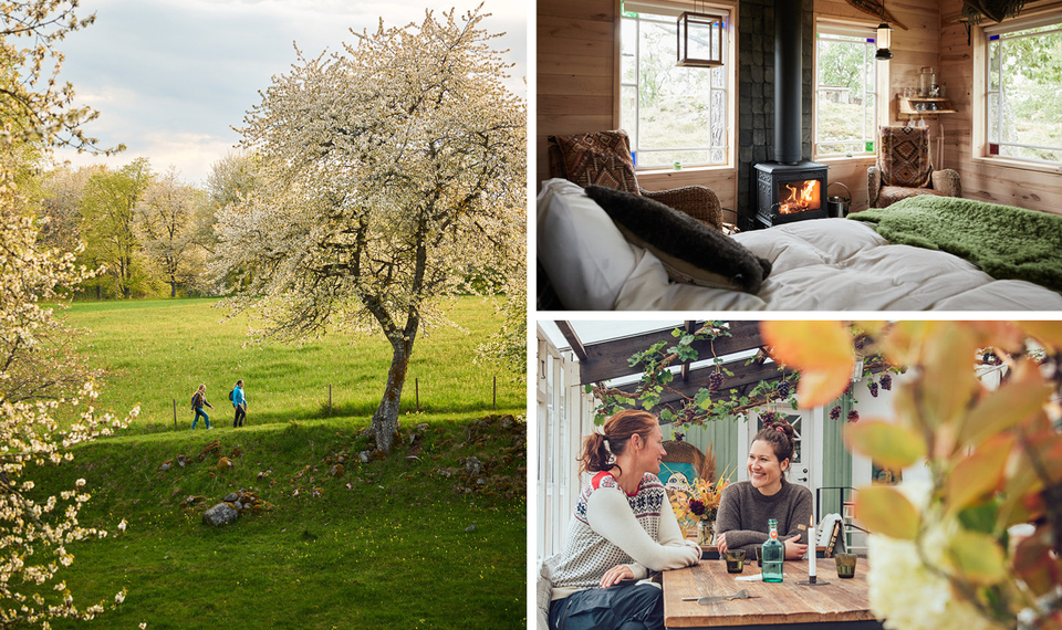 Vandringpaket kollage vår