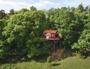 Trädhushotell