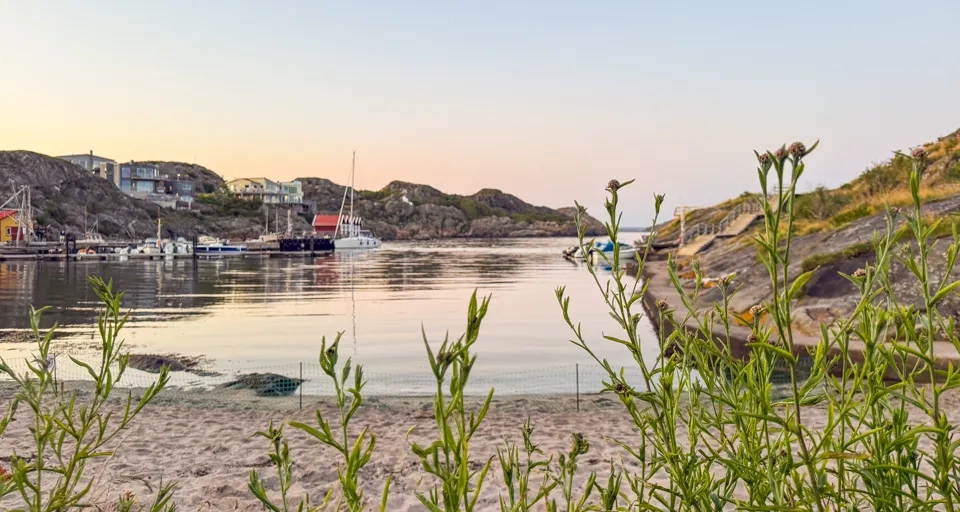 Badplatsen kårevik på tjörn
