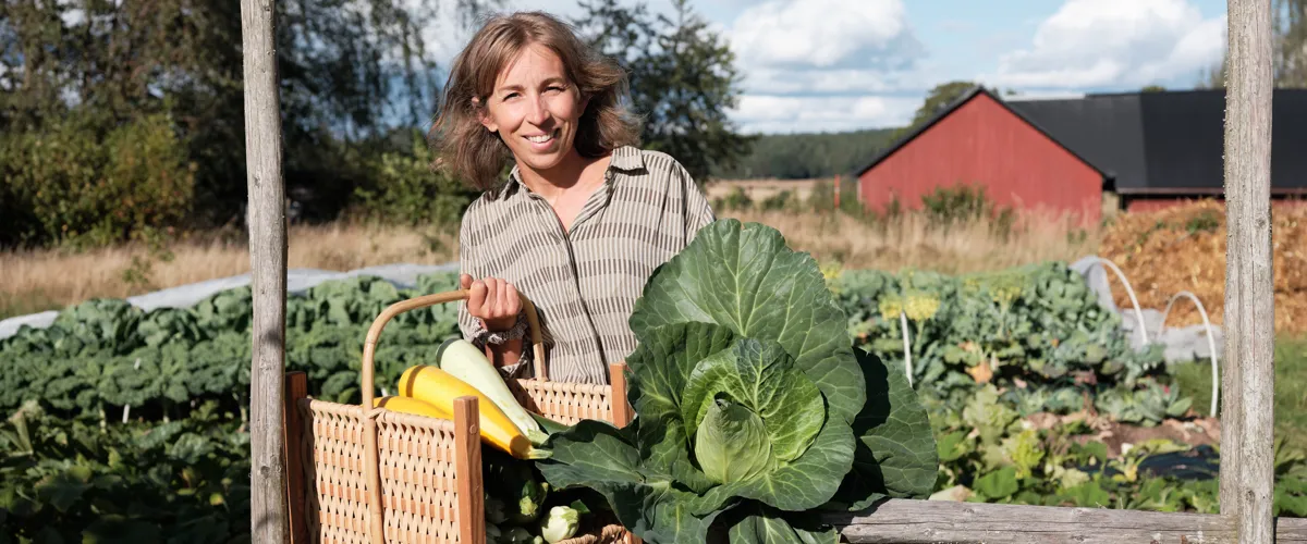 Vängavikens Gröna
