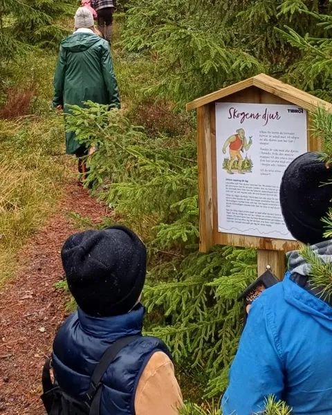jättens stig vandring rankås