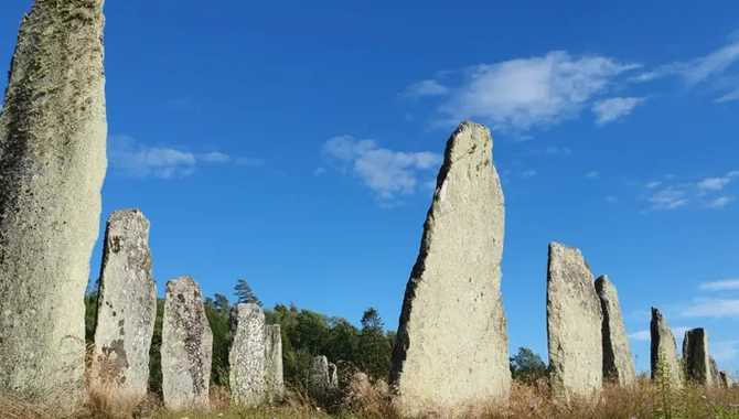 Blomsholm fornminnesområde med 49 resta stenar på ett fält.