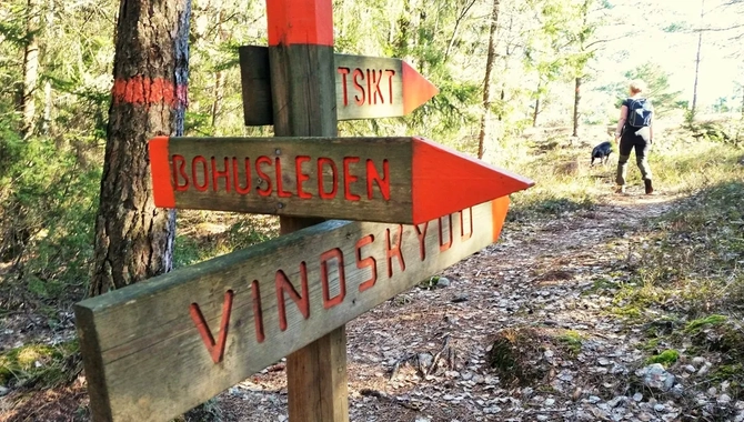 En träskylt som pekar i olika riktningar i skogen.