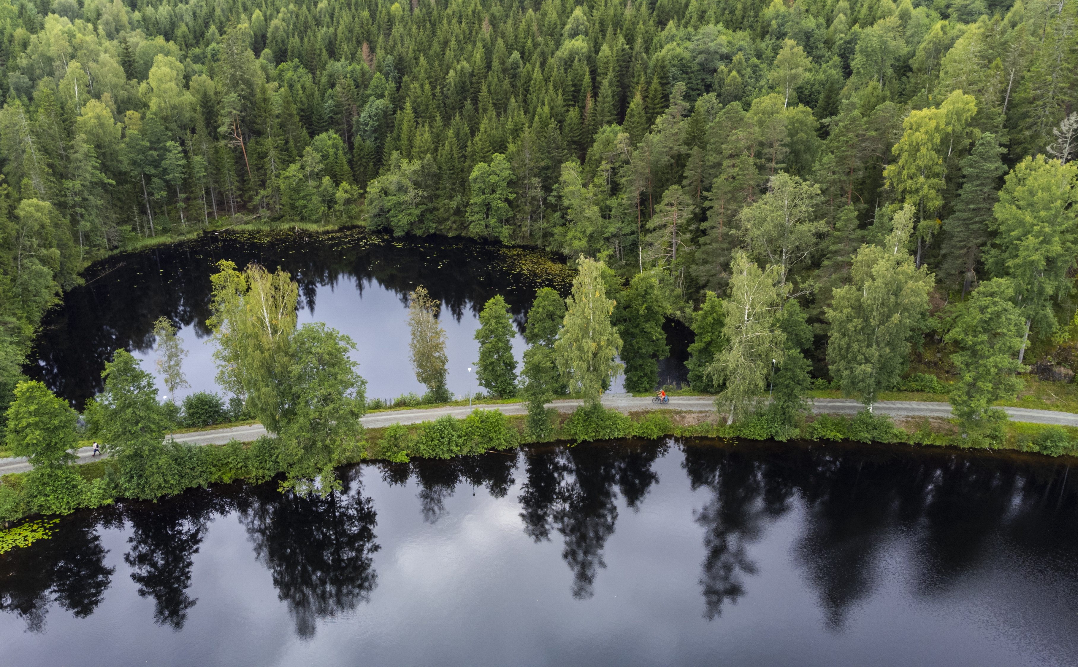 Höljerudsforsarna med start i Bengtsfors