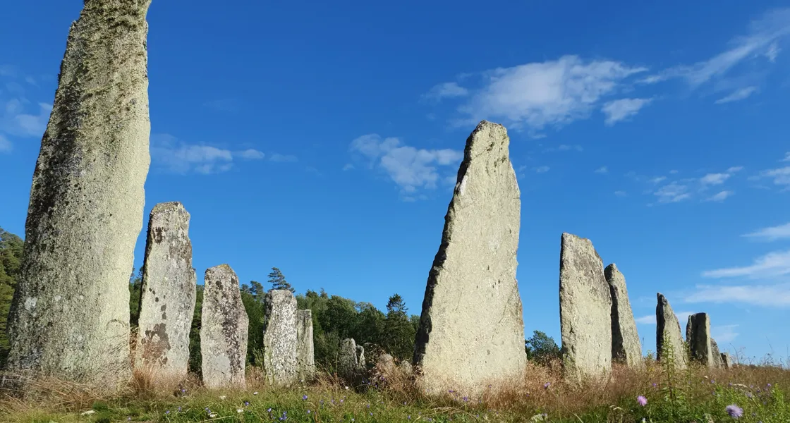 Blomsholm fornminnesområde med 49 resta stenar på ett fält.