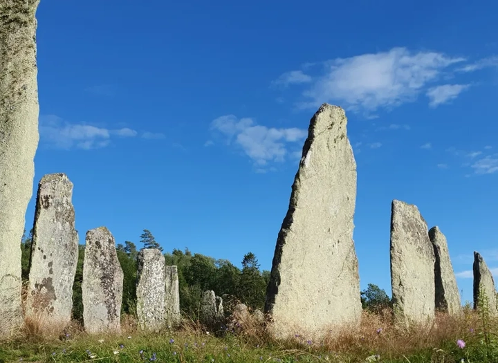 Blomsholm fornminnesområde med 49 resta stenar på ett fält.