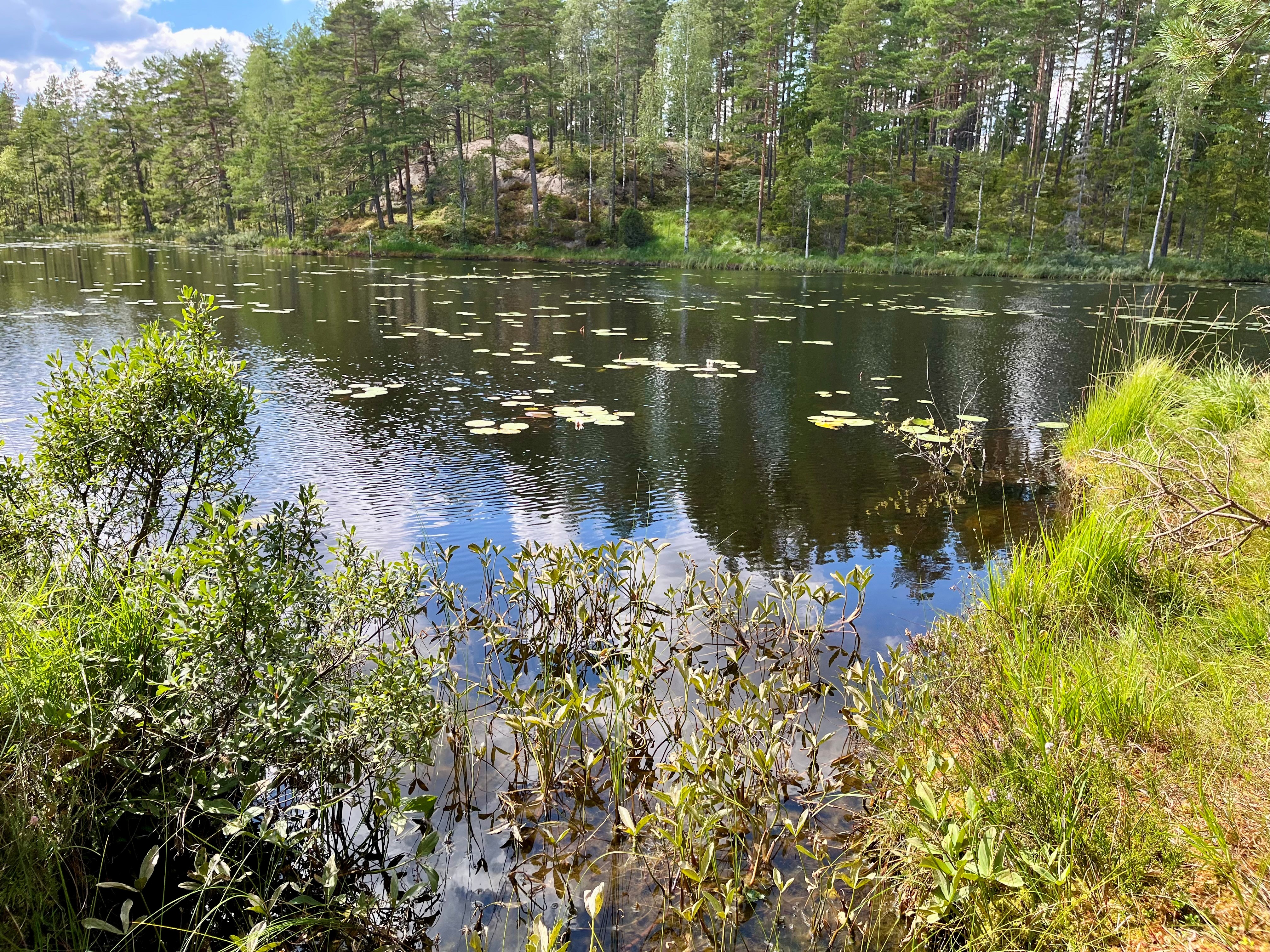 7-jun-norra-kroppefjall