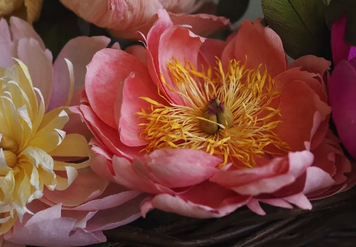 Workshop i tillverkning av pappersblommor med Karin Edlund 