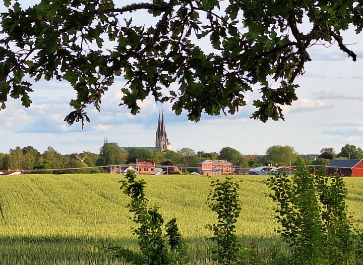 Skara Släktforskarförening har föreläsning