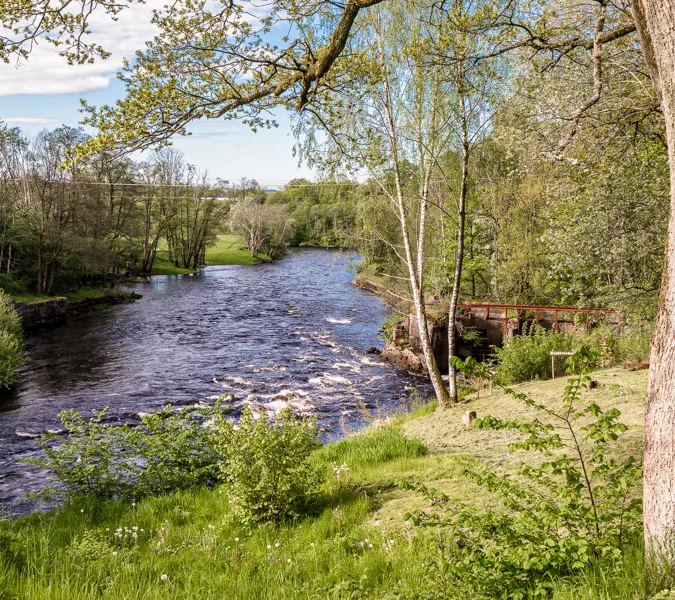 En bild på en strömmande å i ett grönt landskap.