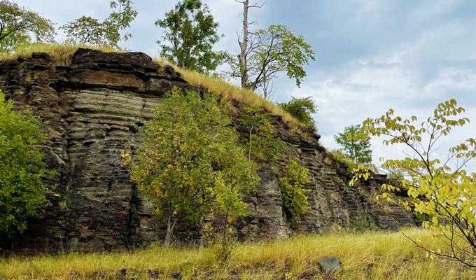 Ett gräsbevuxet fält med träd och en klippa.