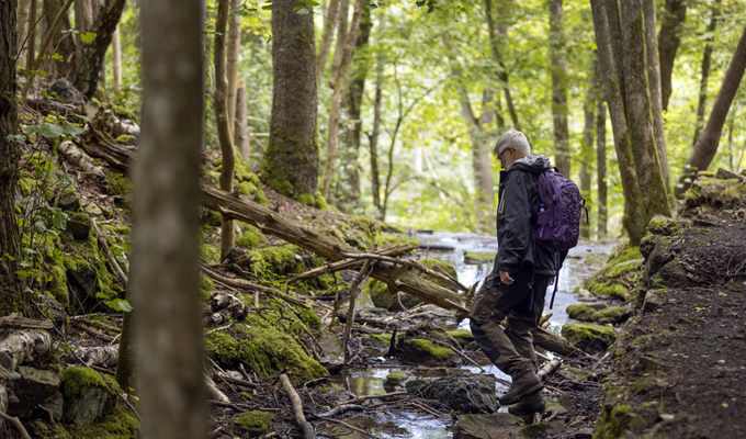 En man med ryggsäck går genom en skog.