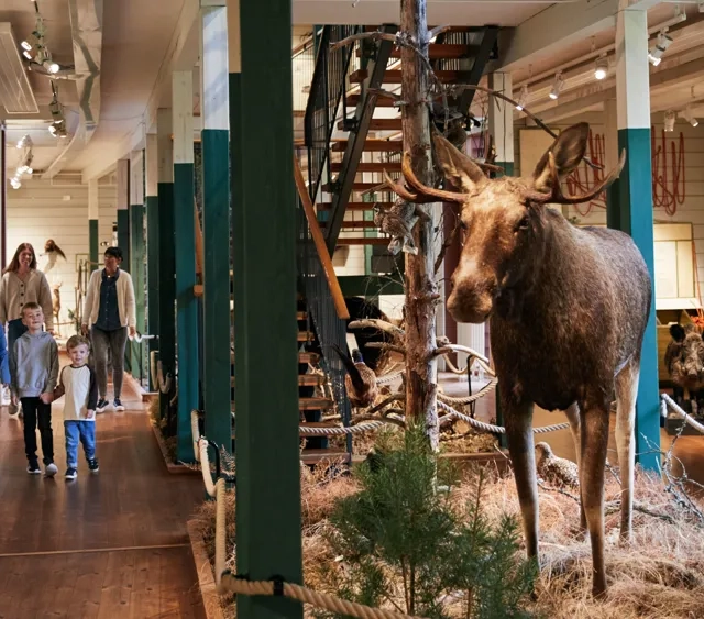 Barn på Kungajaktmuseet Älgens Berg