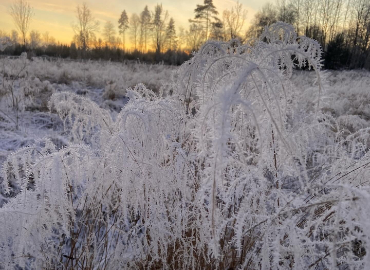 Juldukar,brandbilar och annat kul på hjul,Fika som kulturarv