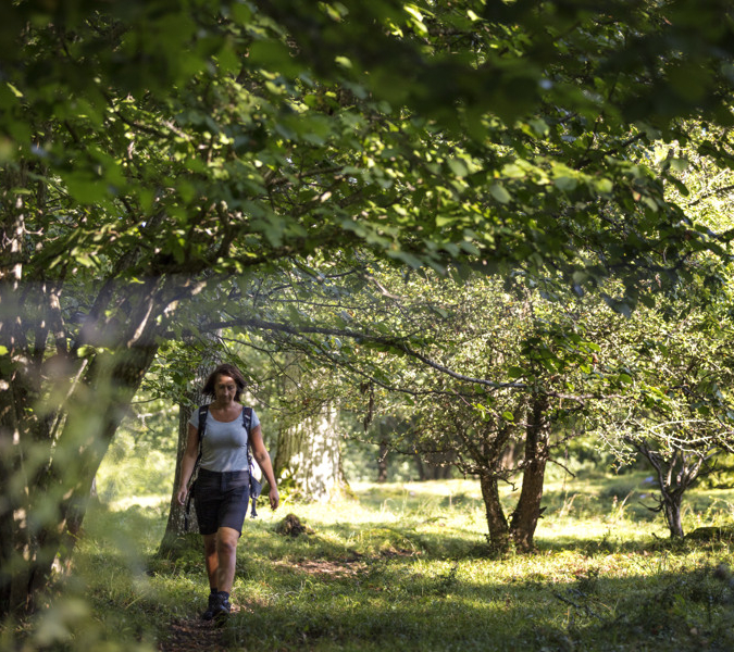 A woman walking through a forest on a sunny day.