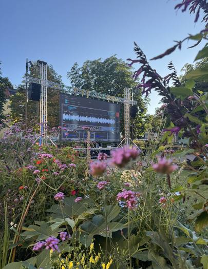 Utomhusbio i museiparken