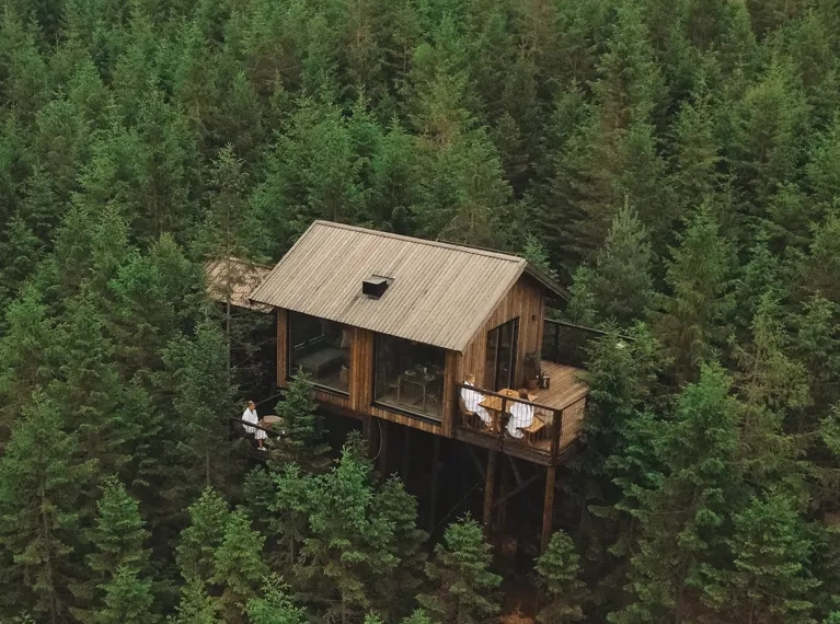 Boende bland trädtoppar i skogen.