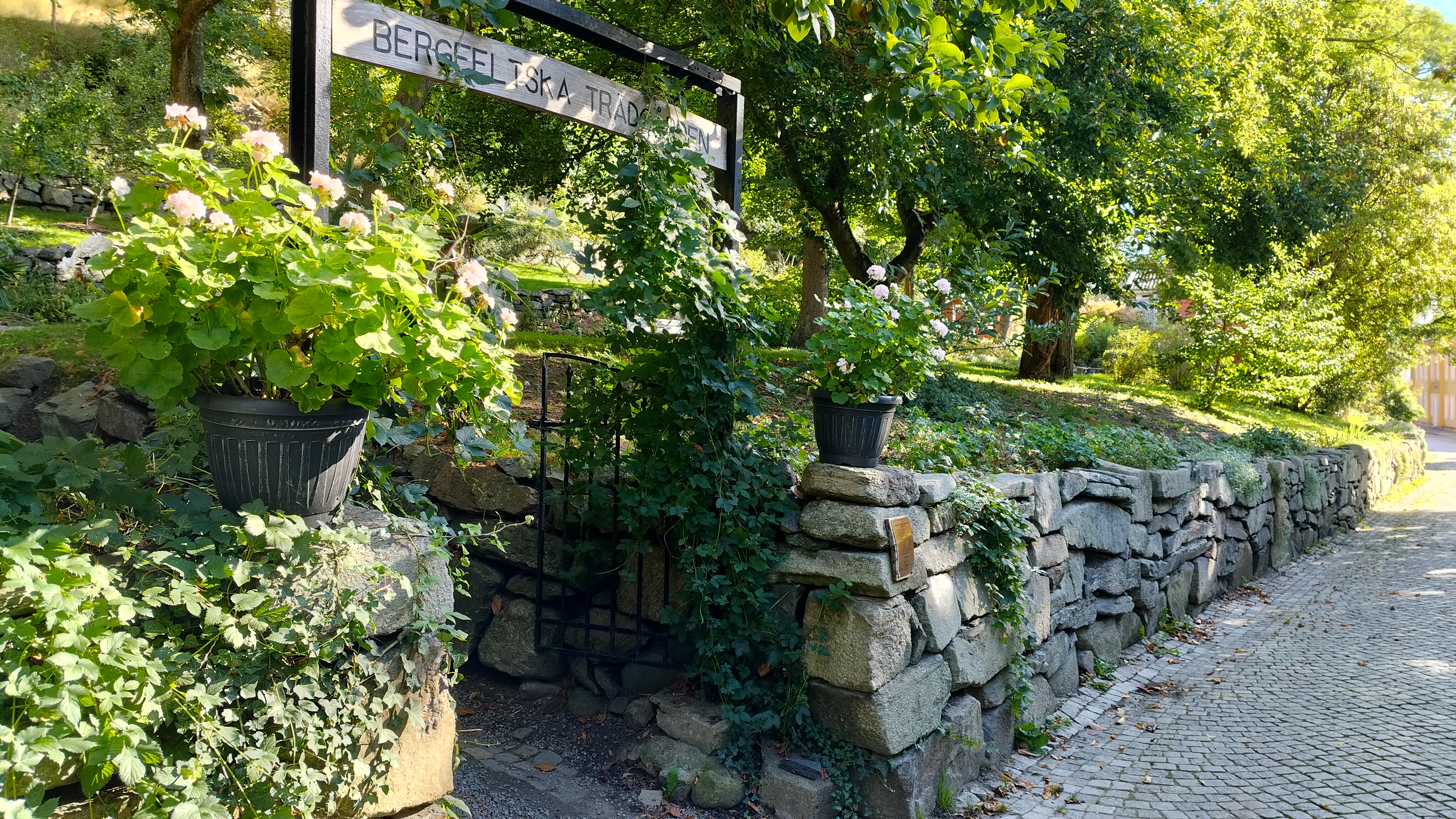 Guidning i Bergfeltska Trädgården på Vandringens dag