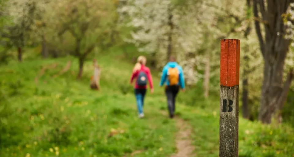 Vandring vid Höjentorp