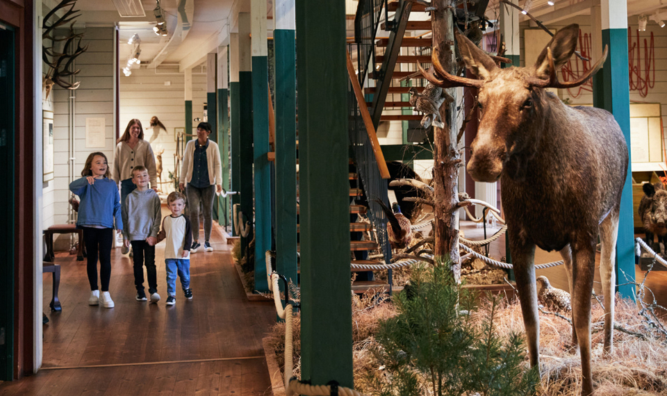 Barn på Kungajaktmuseet Älgens Berg