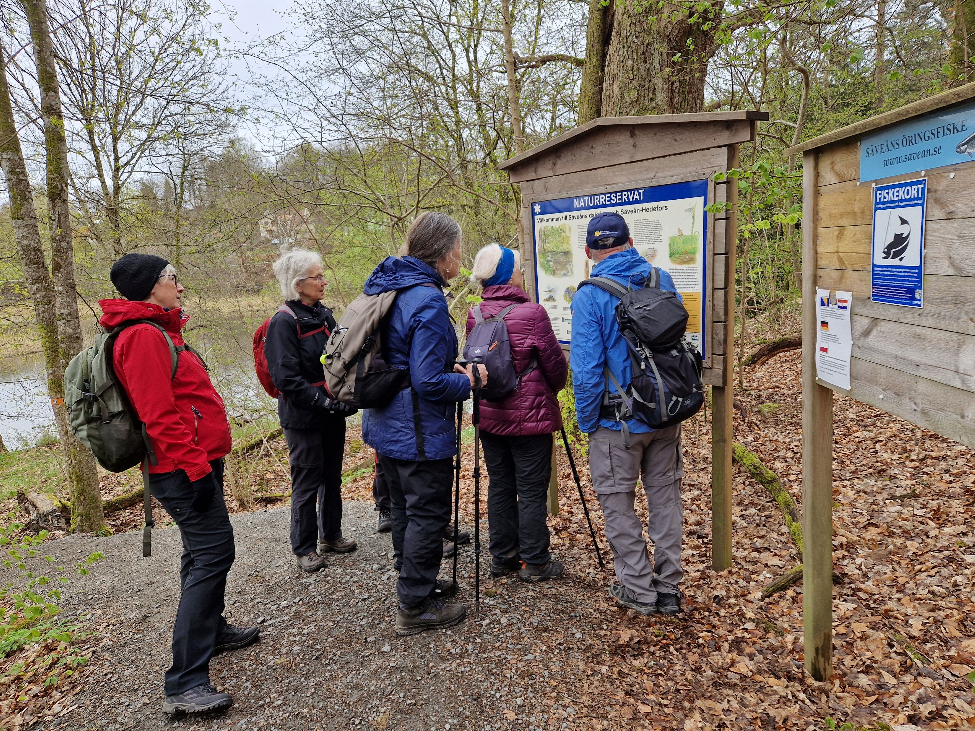 Vandring längs Säveån