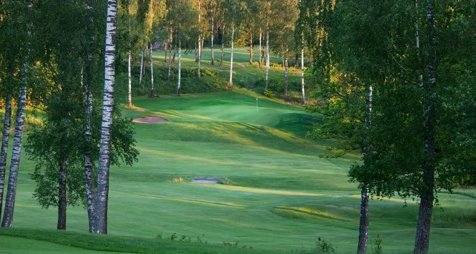 En golfbana omgiven av träd och gräs.