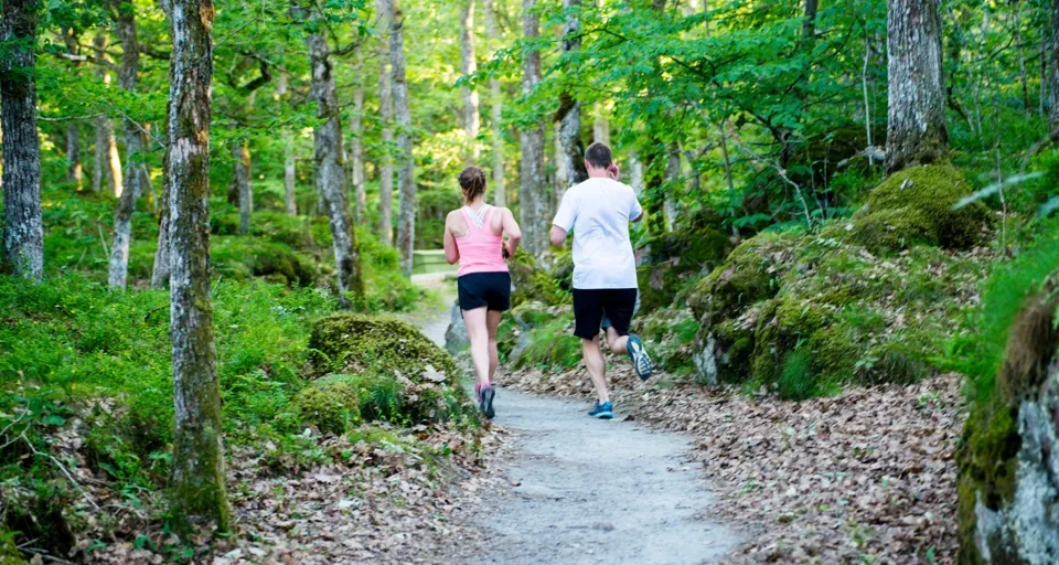 Några personer som springer längs en stig.