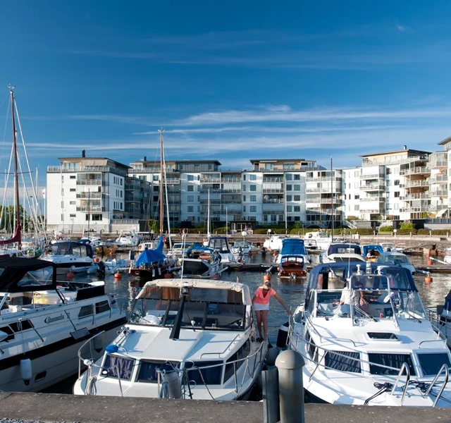 En marina fylld med massor av vita båtar.