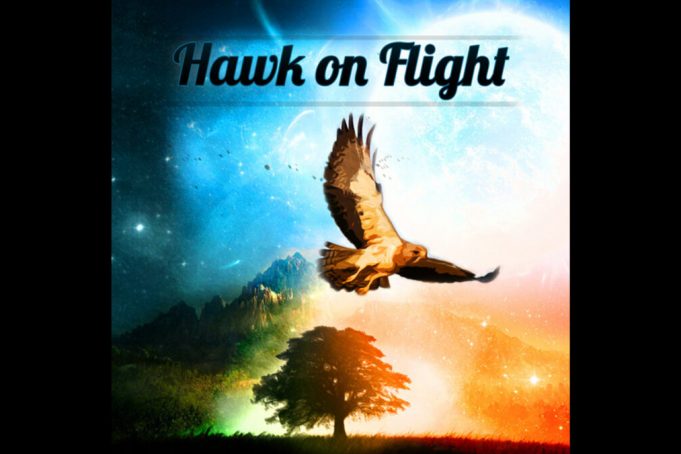 Hawk on Flight