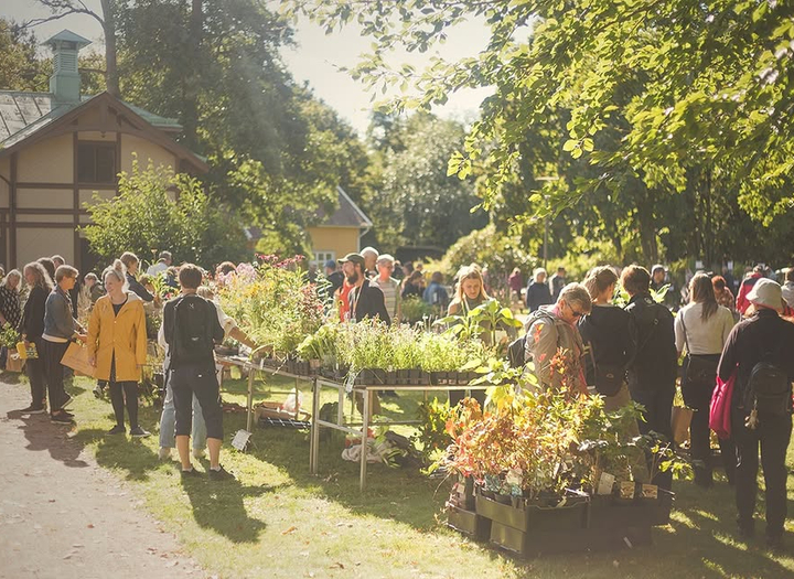 Perennfesten i Lerum 