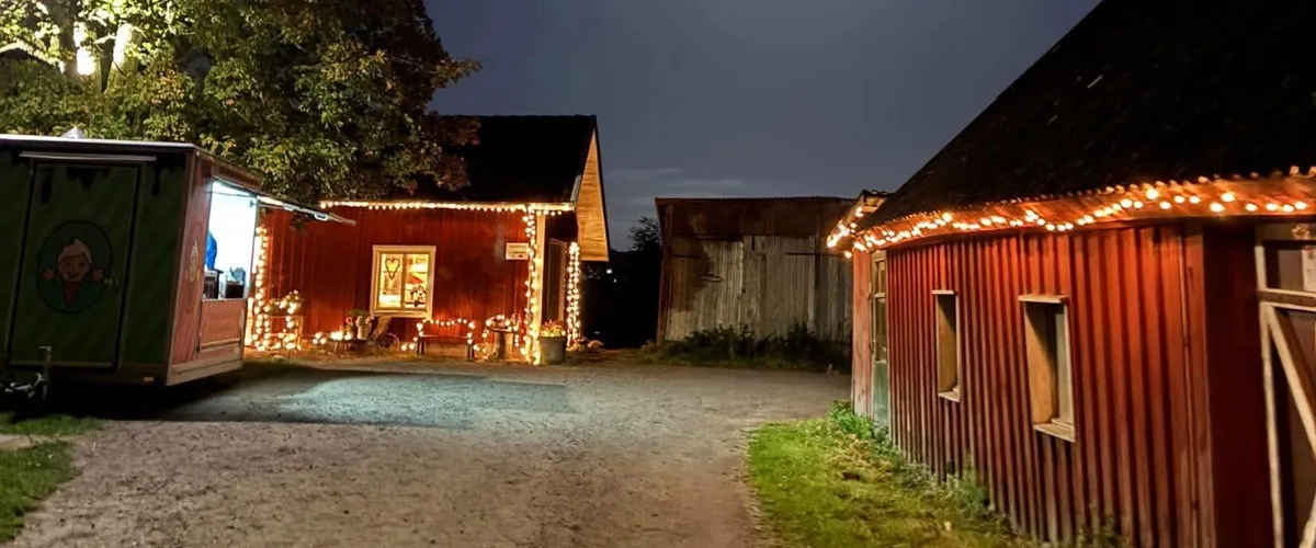 Julmarknad